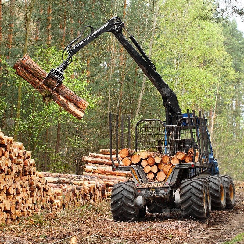 Tree harvesting vehicle