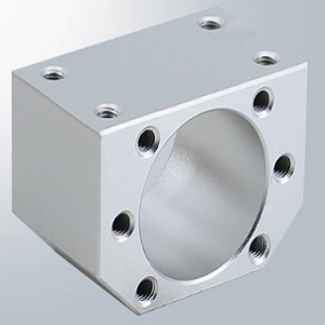 dsg1